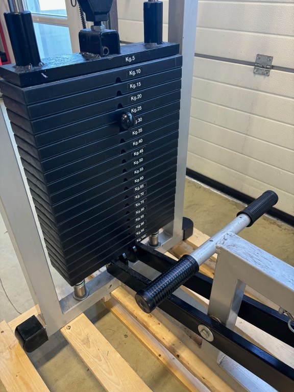 Pectoral / Upper back