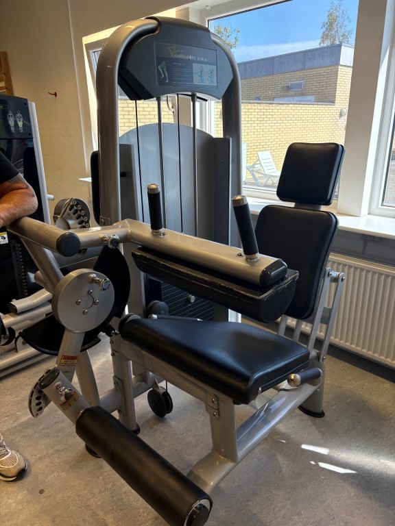 Seated leg curl