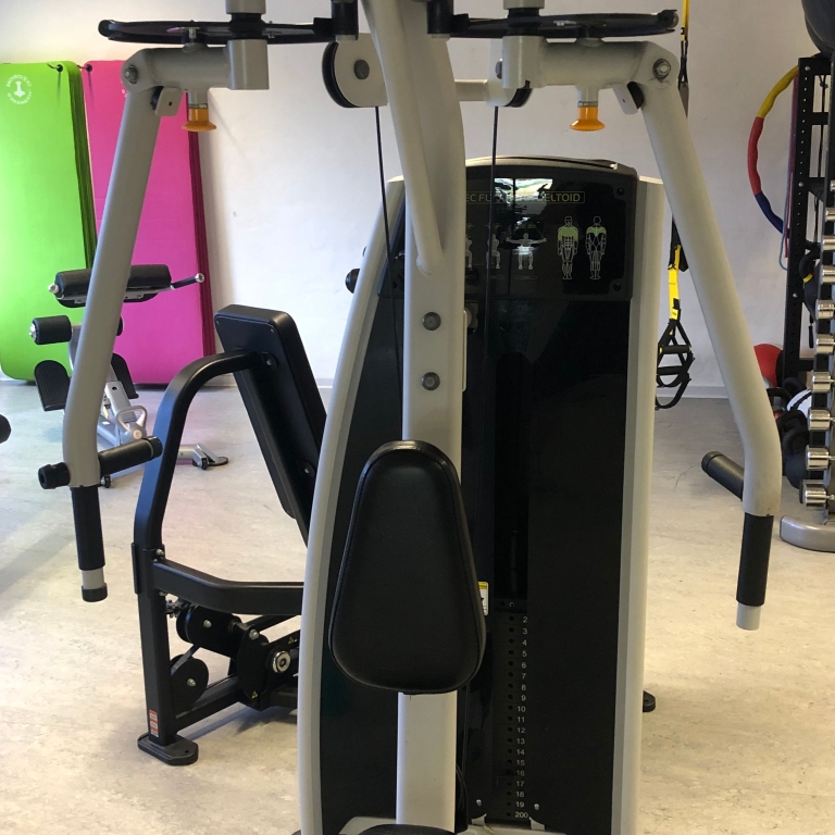 Pectoral fly / Rear delt