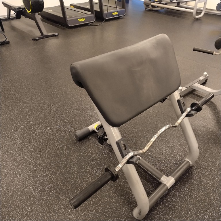 Biceps bænk